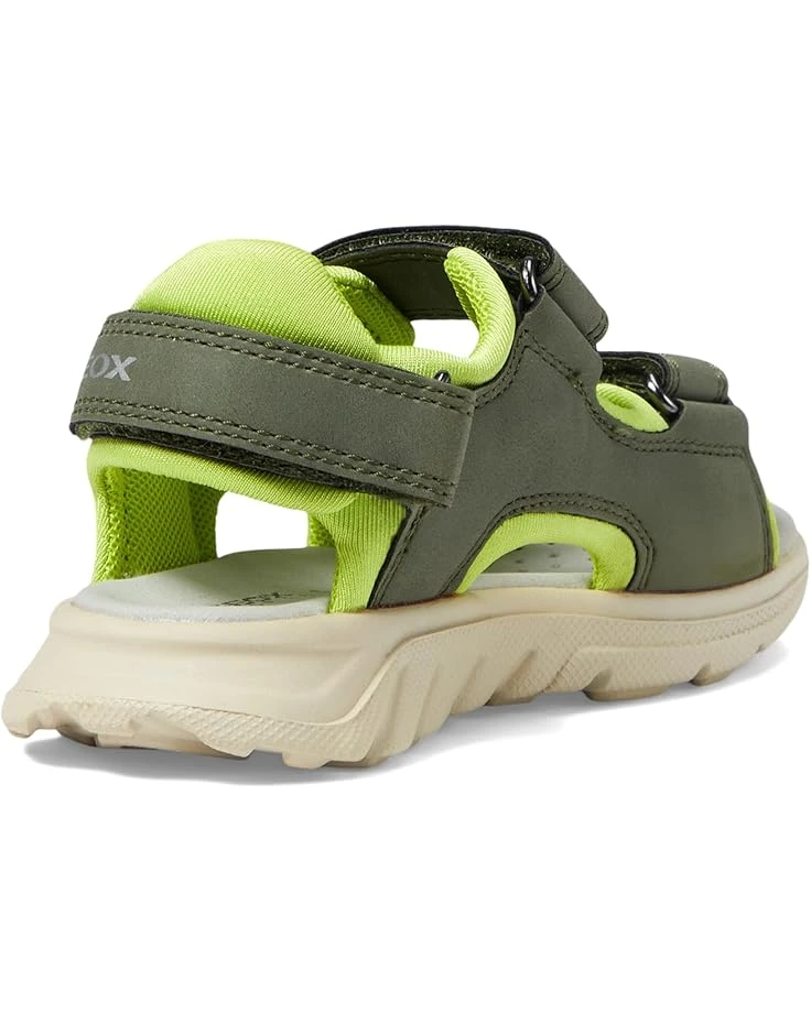 Geox Kids Sandal Airadyum 1 (Toddler/Little Kid/Big Kid) | Sandals 5 Geox Kids Sandal Airadyum 1 (Toddler/Little Kid/Big Kid) | Sandals - Image 5