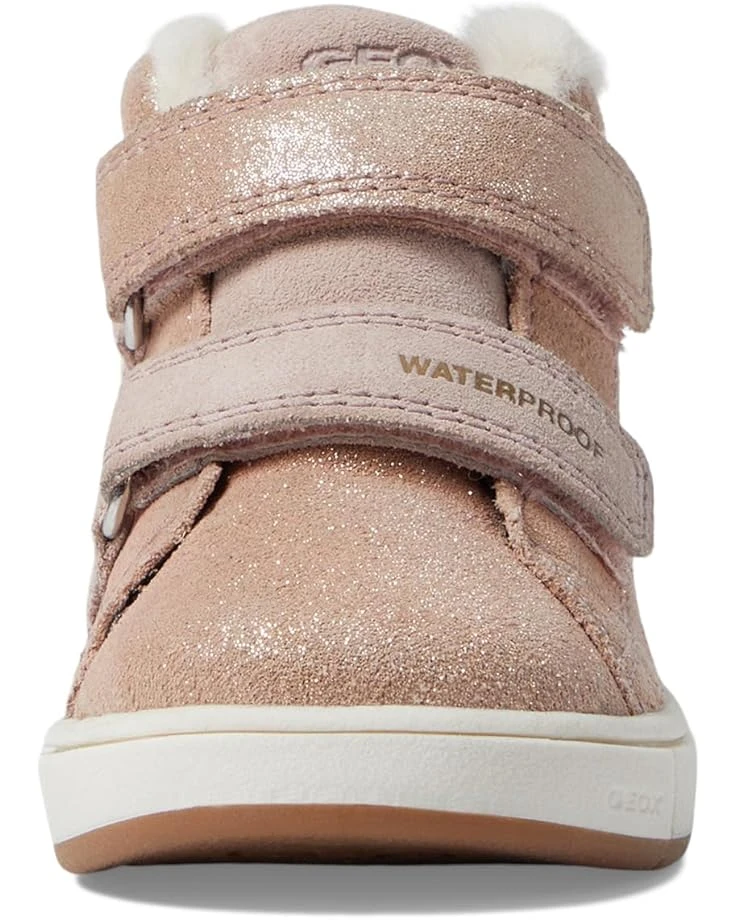 Geox Kids Trottola WPF 1 (Toddler) | Sneakers & Athletic Shoes 6 Geox Kids Trottola WPF 1 (Toddler) | Sneakers & Athletic Shoes - Image 6